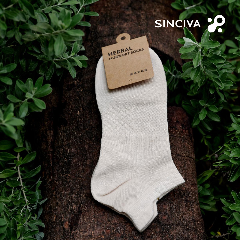 SINCIVA 菌体训练鞋·限量配色 - 深绿色限量版训练鞋